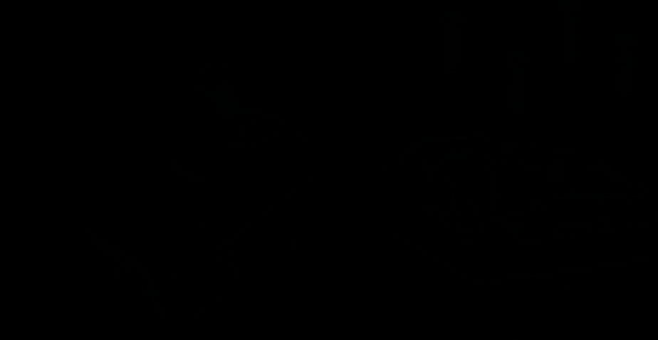 Scanstrut Ds-Hd6 Sort Dobbel Kabelgjennomføring