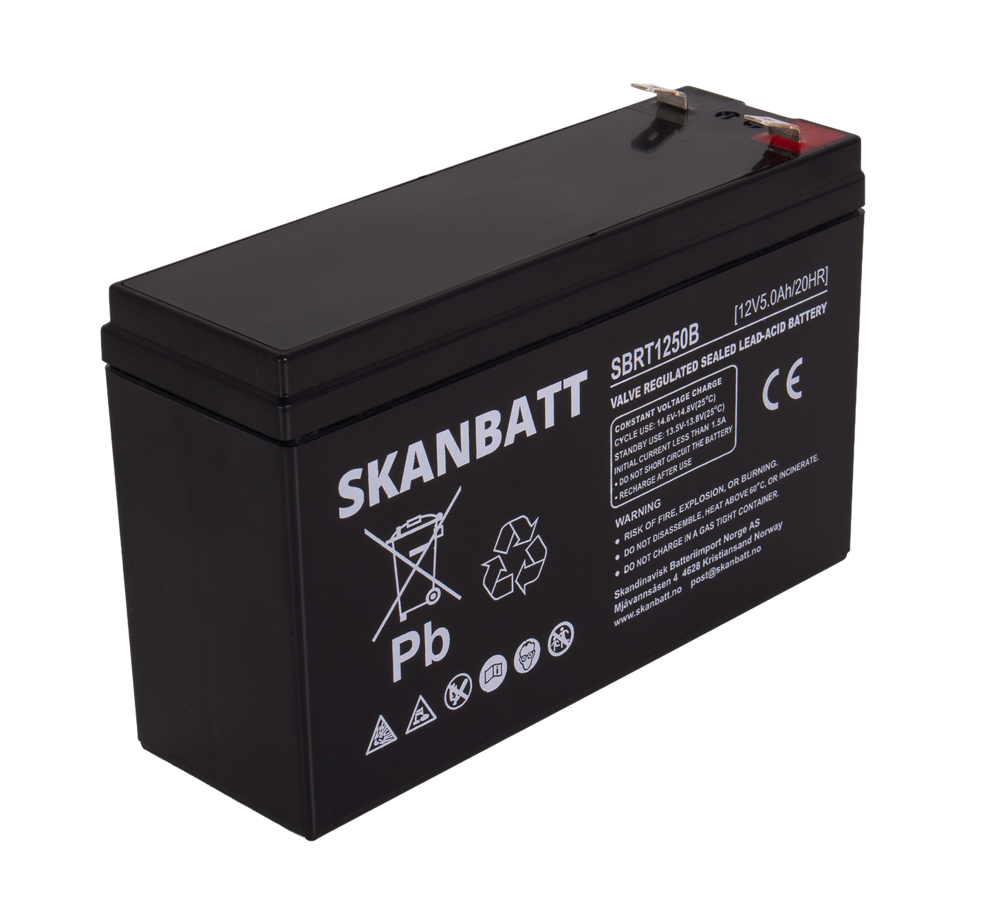 SKANBATT AGM Batteri 12V 5AH (150x50x100mm) F2