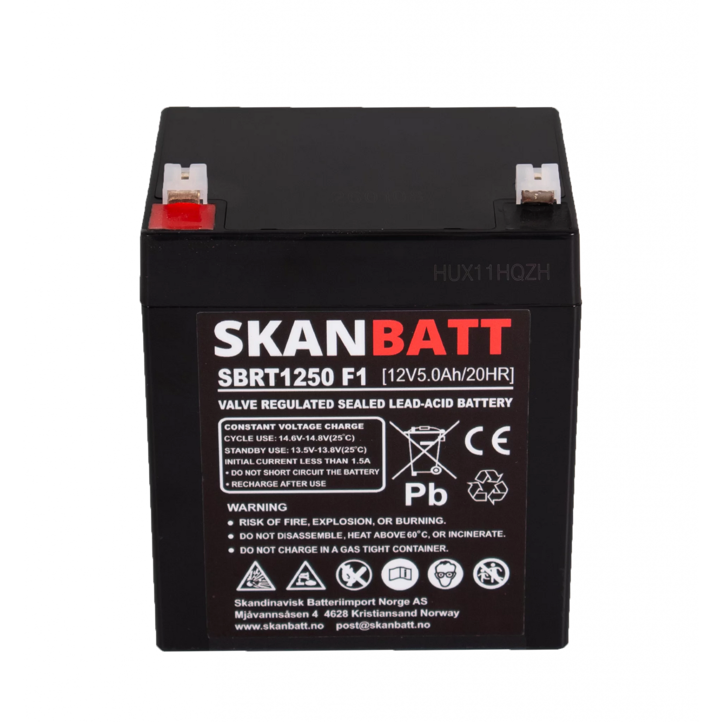 SKANBATT AGM Batteri 12V 5AH (90x70x101mm) F1
