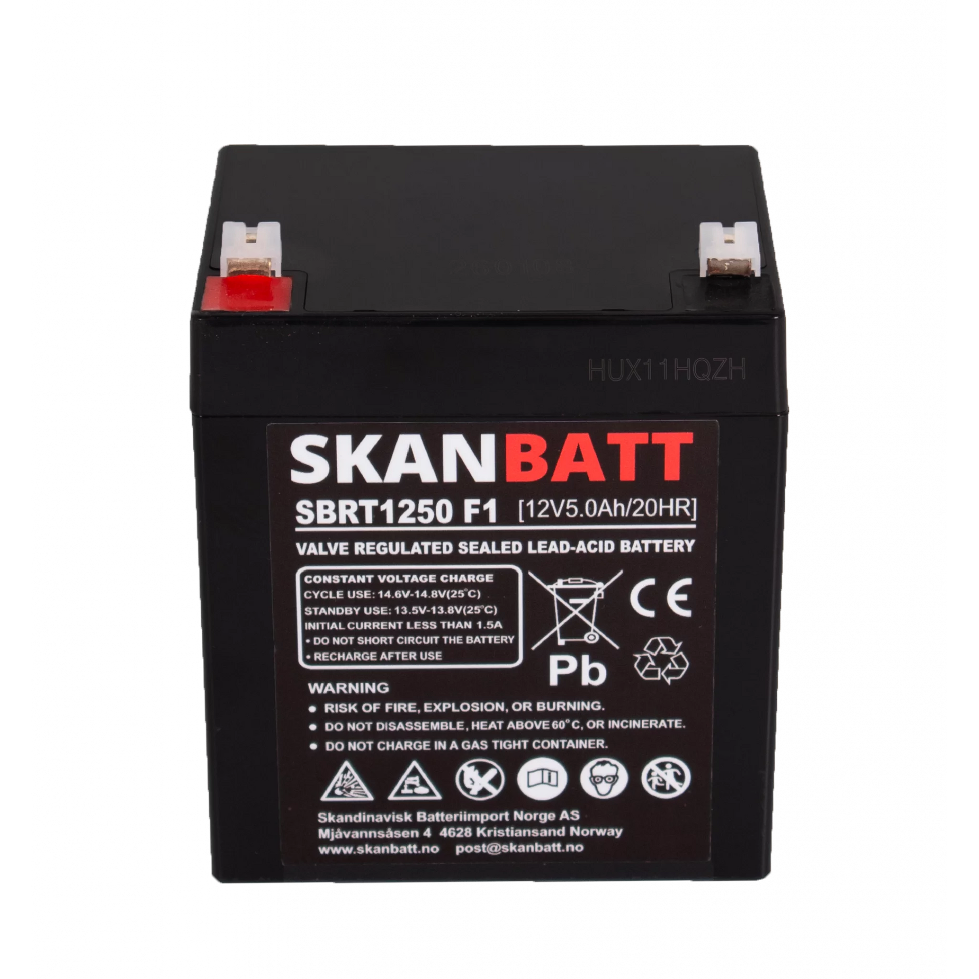 SKANBATT AGM Batteri 12V 5AH (90x70x101mm) F1