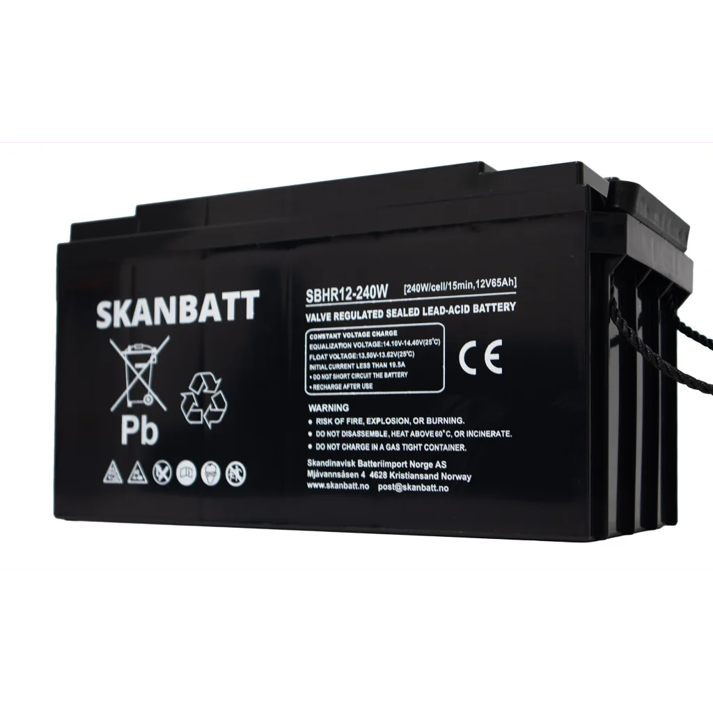 SKANBATT High Rate AGM Batteri 12V 65AH (350x167x182mm) M6