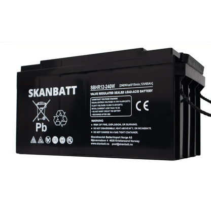SKANBATT High Rate AGM Batteri 12V 65AH (350x167x182mm) M6