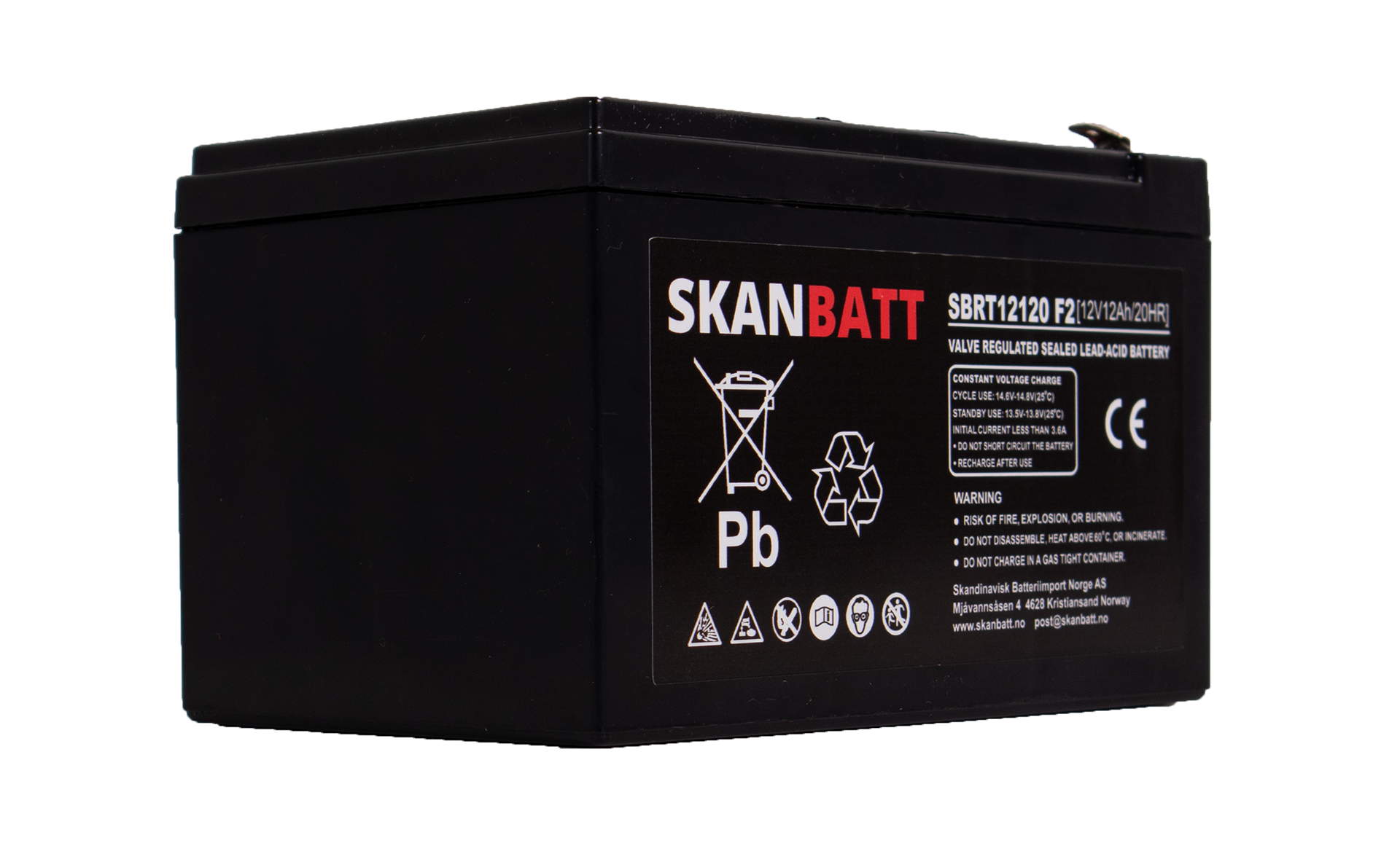 SKANBATT AGM Batteri 12V 12AH (151x98x95mm) F2