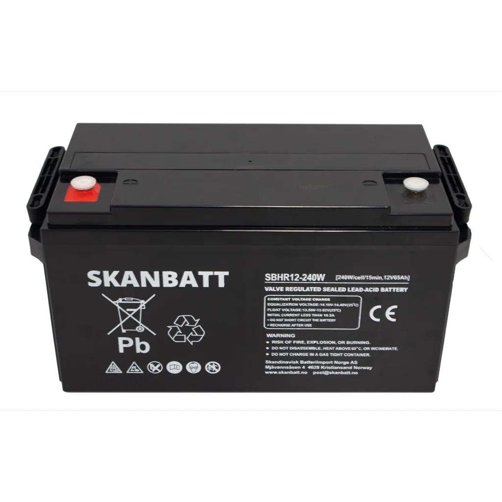 SKANBATT High Rate AGM Batteri 12V 65AH (350x167x182mm) M6