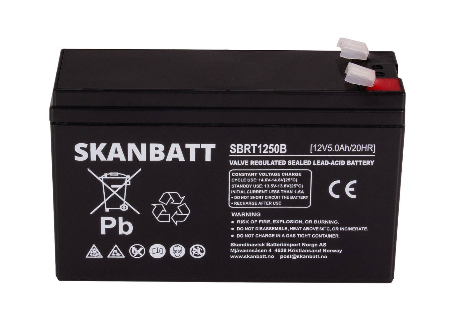 SKANBATT AGM Batteri 12V 5AH (150x50x100mm) F2