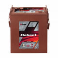 TROJAN AGM Deep Cycle Traksjonsbatteri 6V 310AH (296x176x358mm) +diagonalt