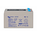 Victron AGM 12V 8Ah Deep Cycle Batteri