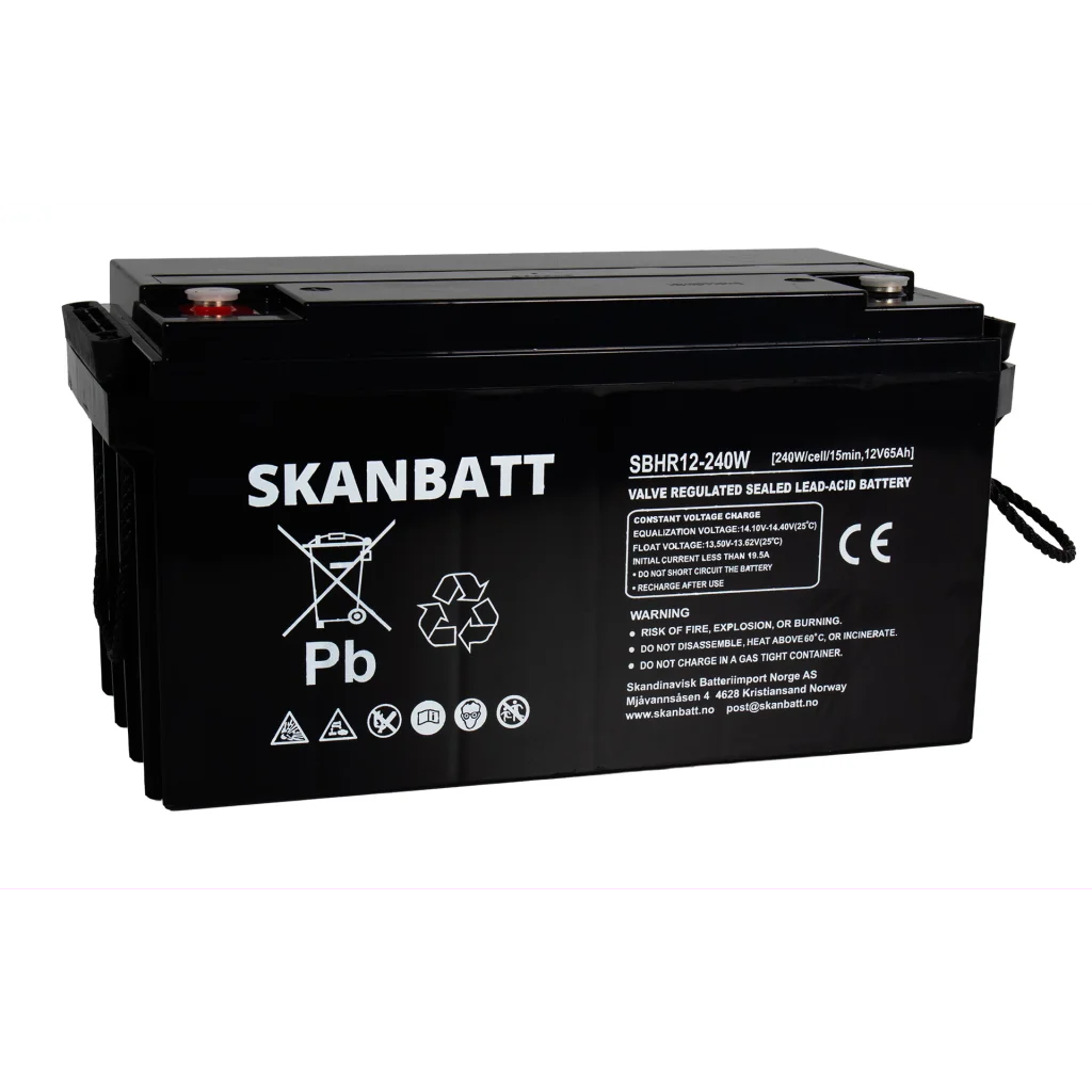 SKANBATT High Rate AGM Batteri 12V 65AH (350x167x182mm) M6