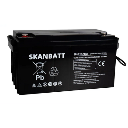 SKANBATT High Rate AGM Batteri 12V 65AH (350x167x182mm) M6