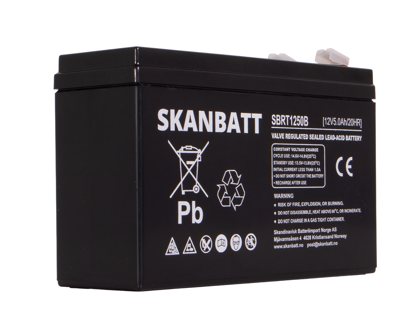 SKANBATT AGM Batteri 12V 5AH (150x50x100mm) F2